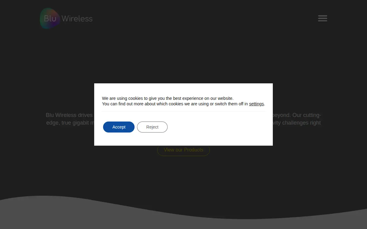 Homepage of Blu Wireless Technology INC.