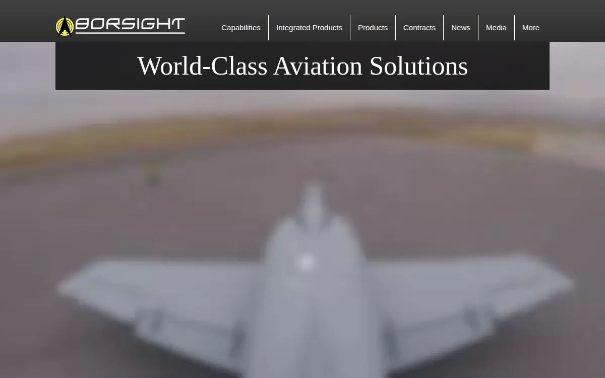 Homepage of Borsight, INC
