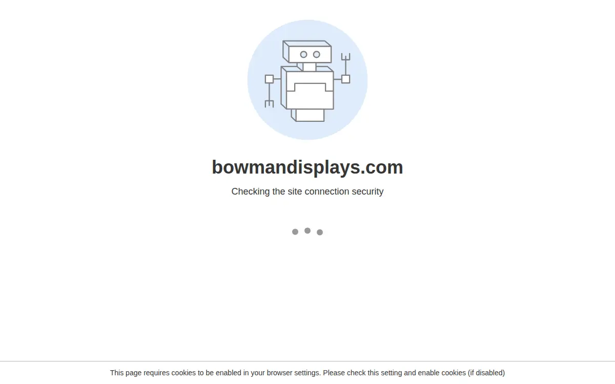 Homepage of Bowman Displays Digital Imaging, INC