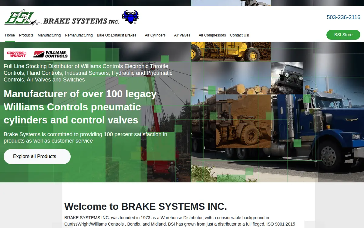 Homepage of Brake Systems, INC.