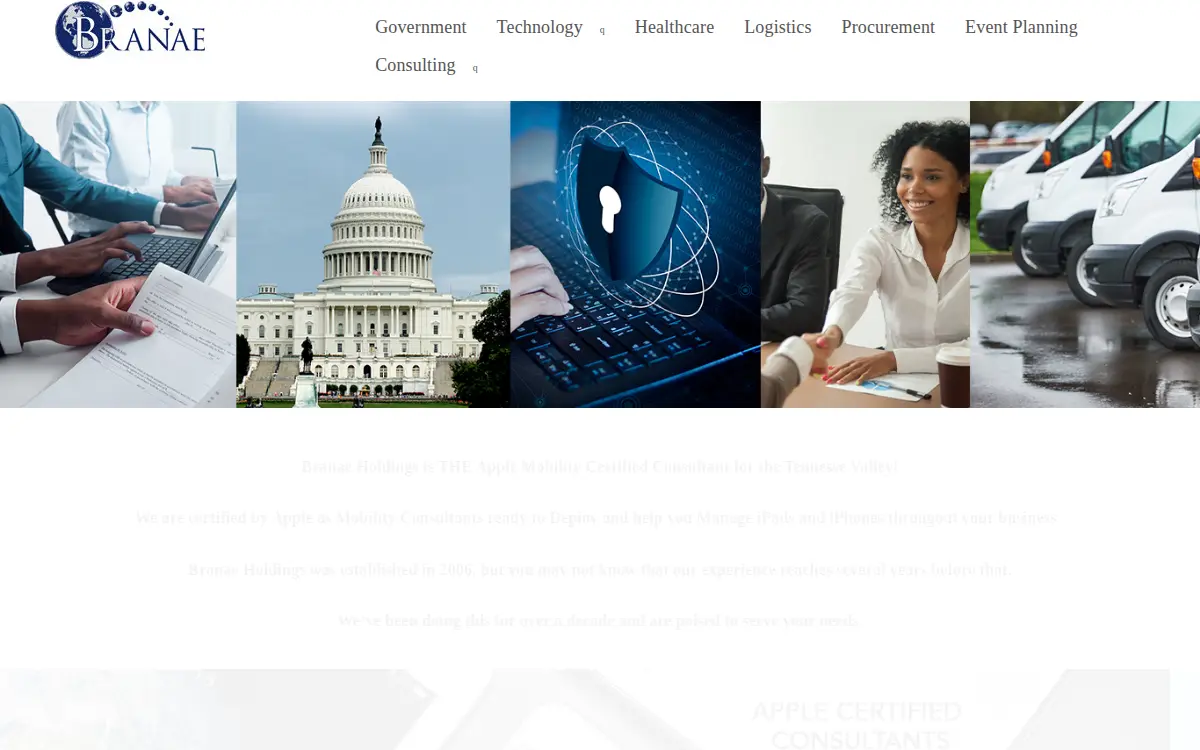 Homepage of Branae Holdings LLC