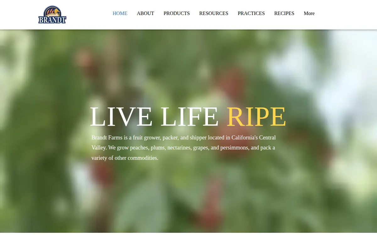 Homepage of Brandt Farms, INC.