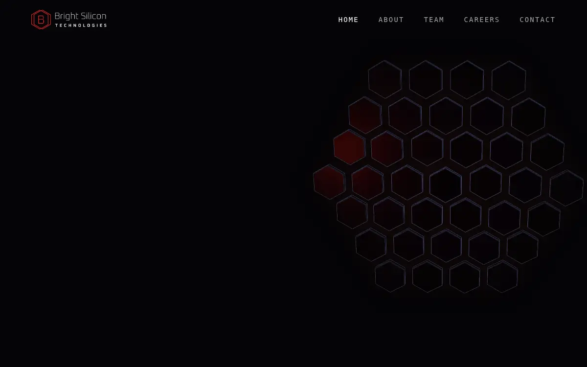 Homepage of Bright Silicon Technologies, INC.