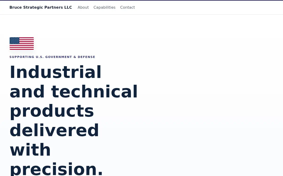 Homepage of Bruce Strategic Partners LLC
