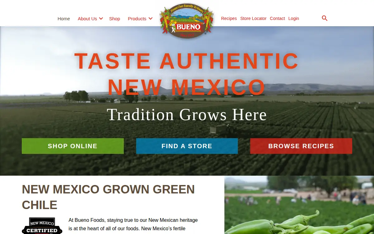 Homepage of El Encanto INC