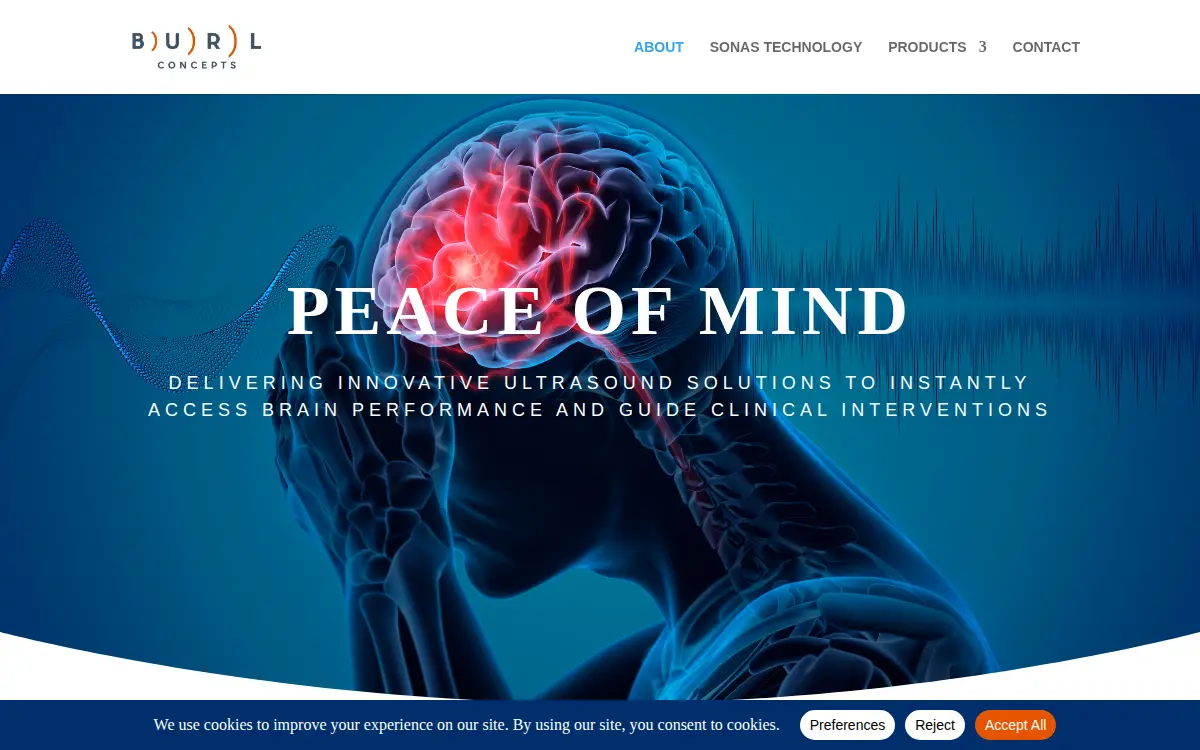 Homepage of Burl Concepts, INC.
