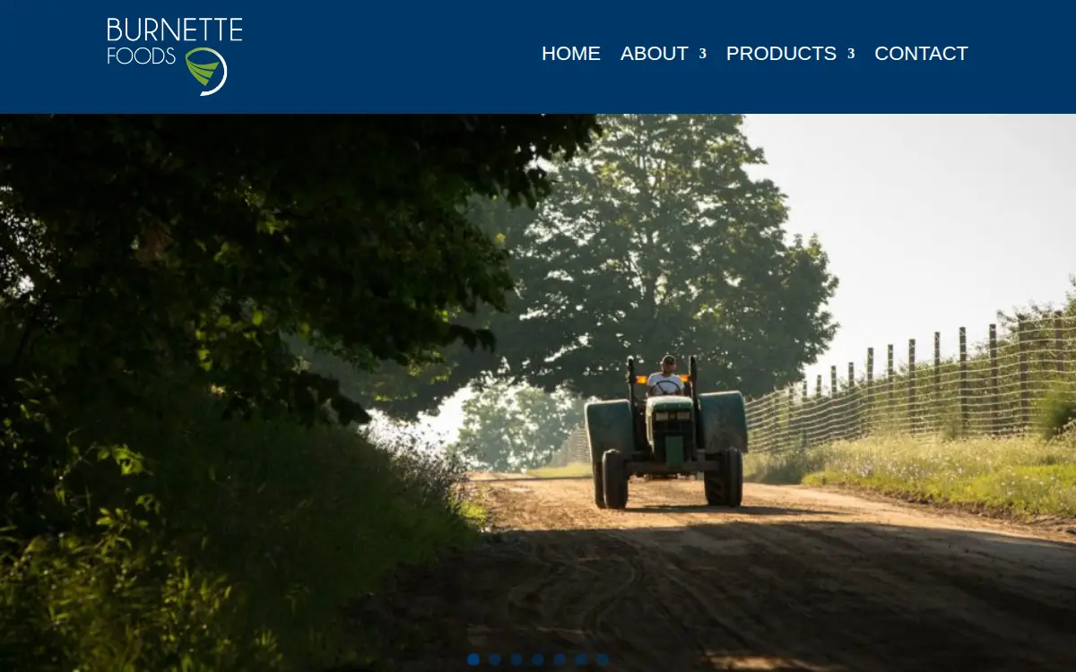 Homepage of Burnette Foods INC