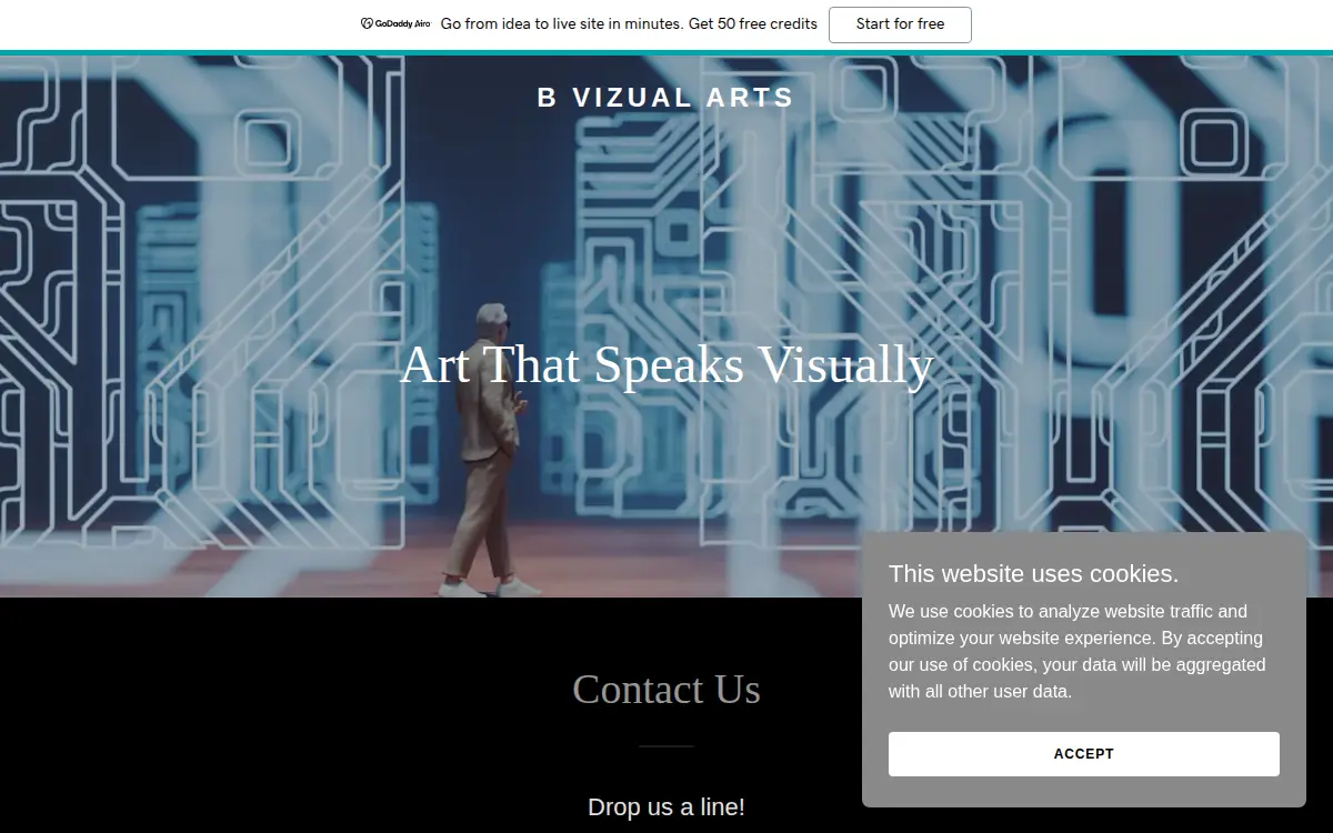 Homepage of Bvizual Arts LLC