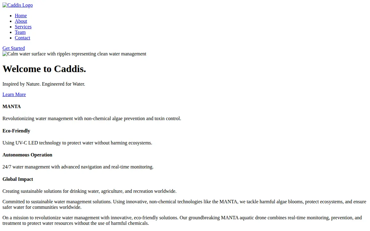 Homepage of Caddis Technologies, INC.