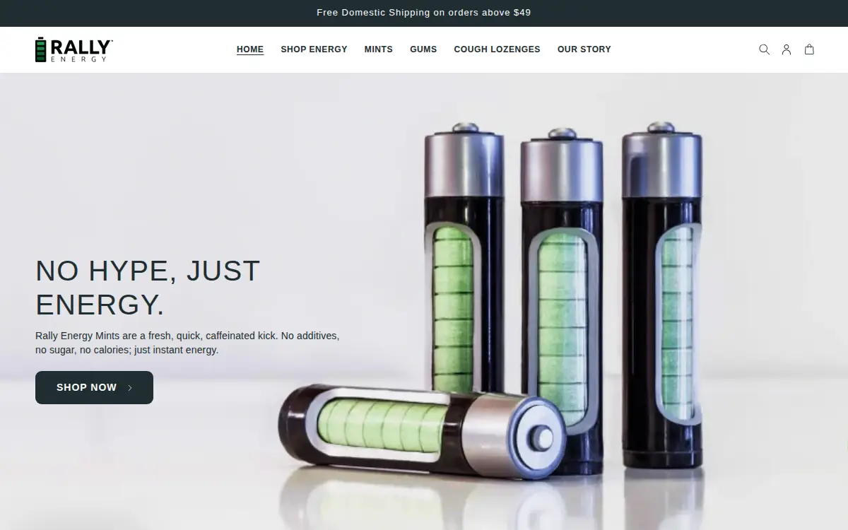 Homepage of Rally Energy LLC
