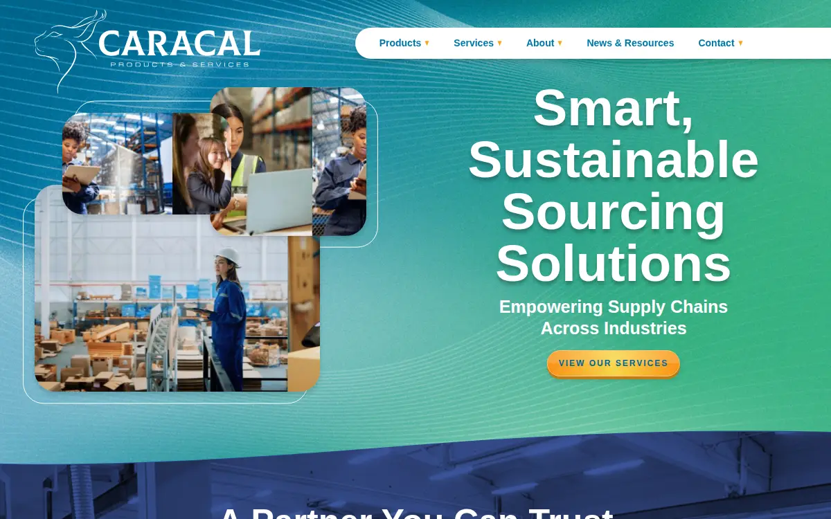 Homepage of Caracal Products and Services Incorporated