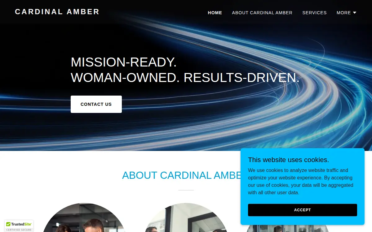 Homepage of Cardinal Amber LLC