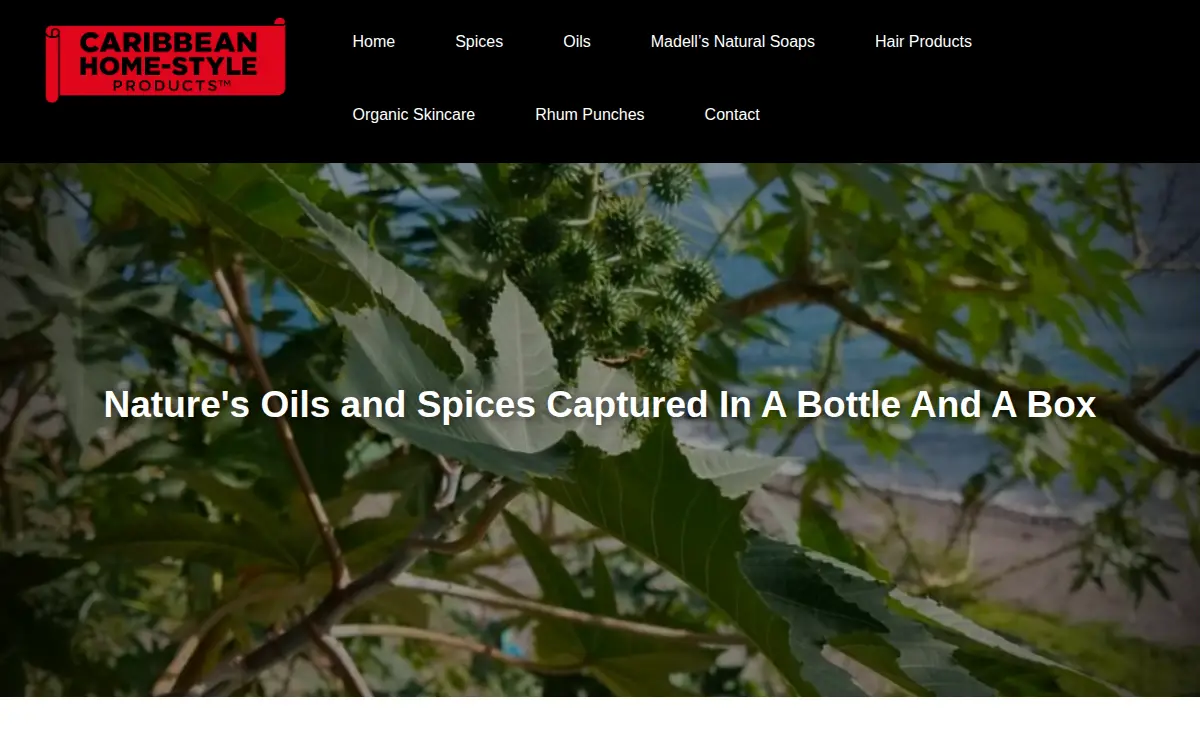 Homepage of Caribbean Home-style Products LLC