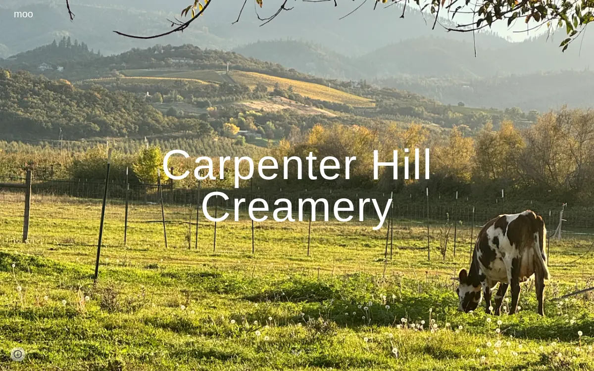 Homepage of Creamtop Creamery Corporation