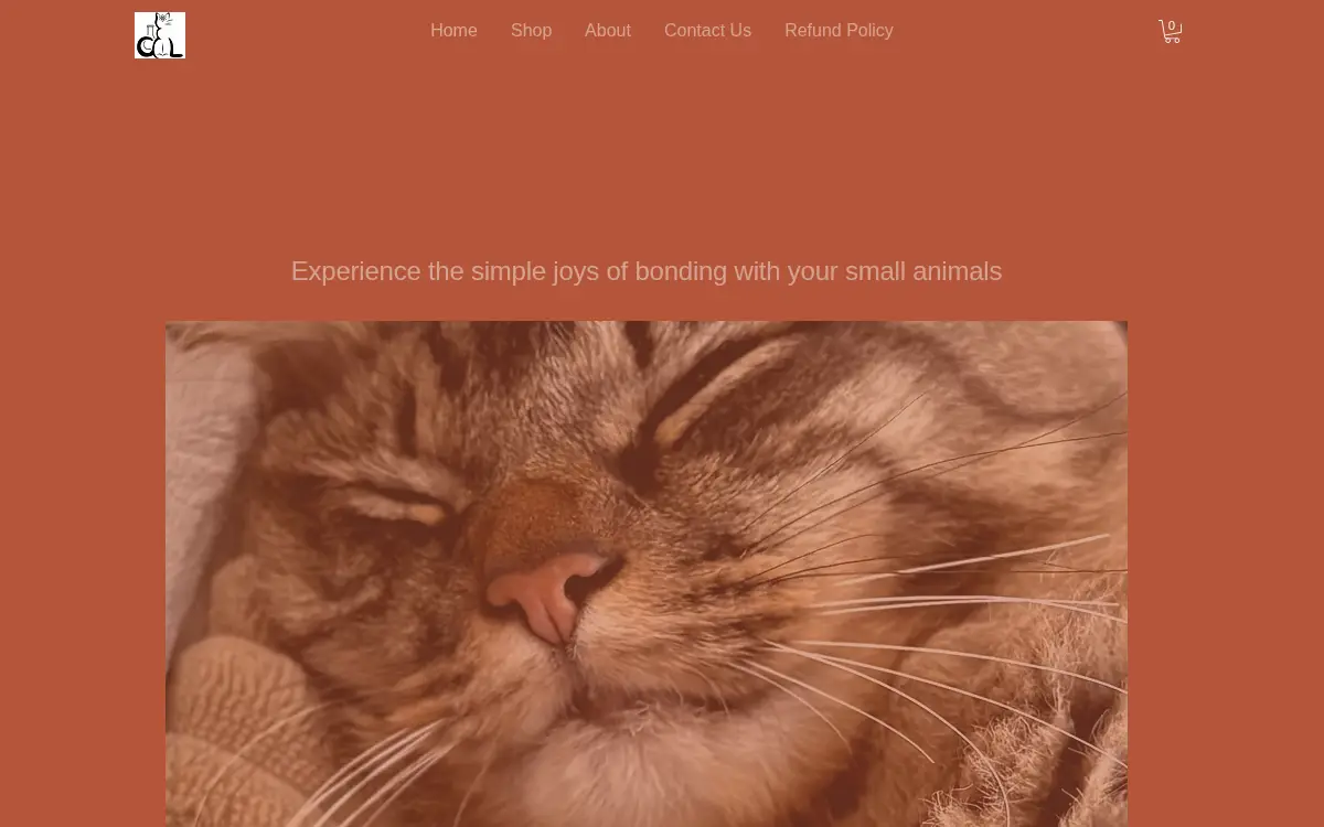 Homepage of Catastrophe Labs LLC