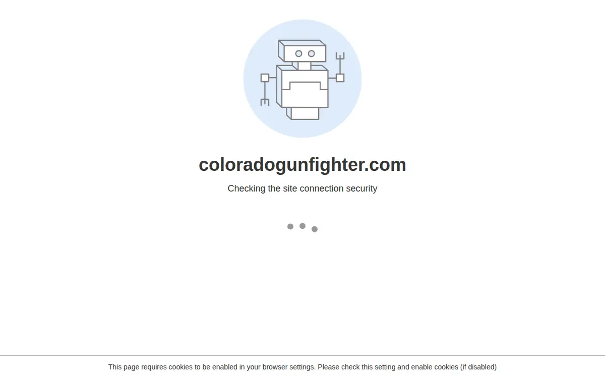 Homepage of Colorado Gun Fighter LLC