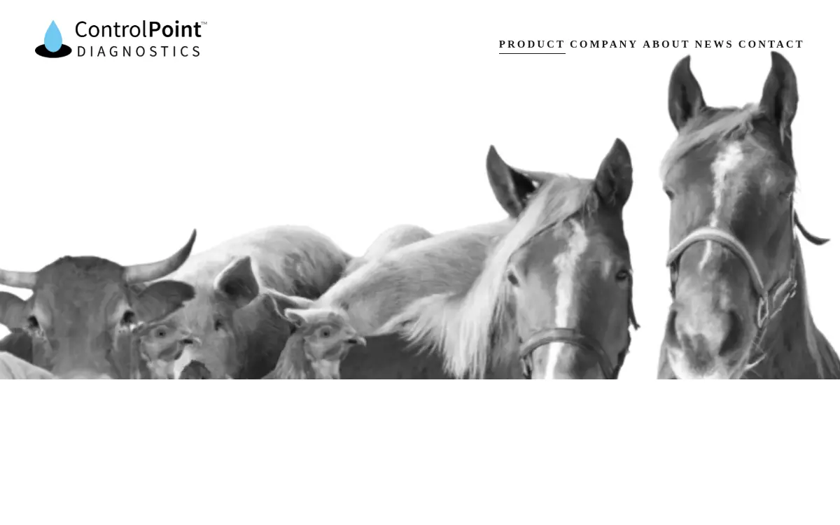 Homepage of Controlpoint INC