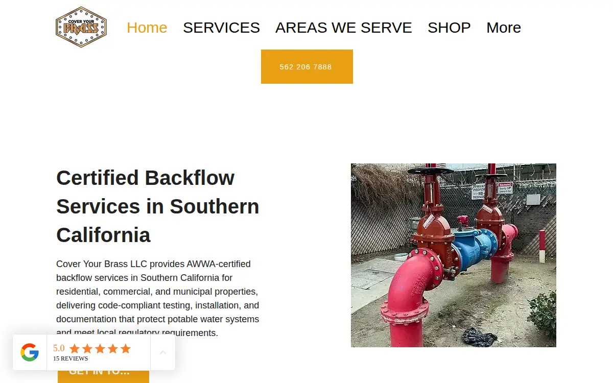 Homepage of Cover Your Brass LLC