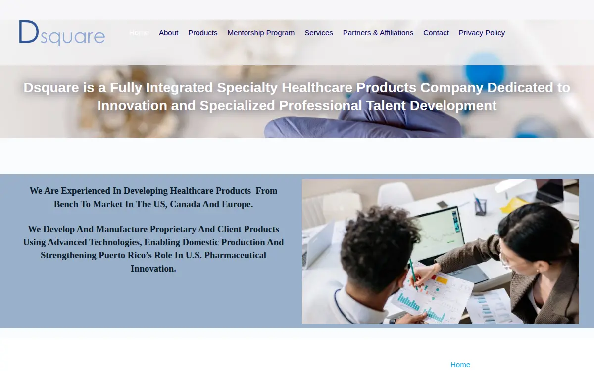Homepage of D Square LLC