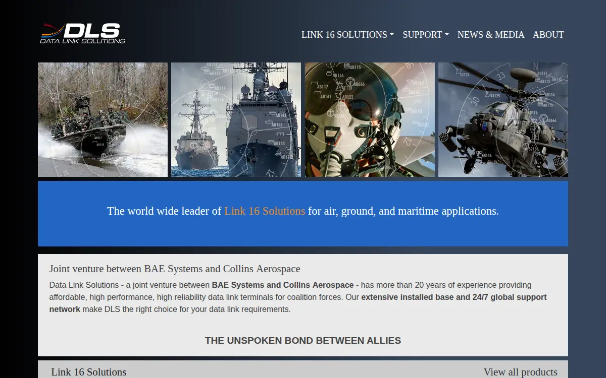 Homepage of Data Link Solutions LLC