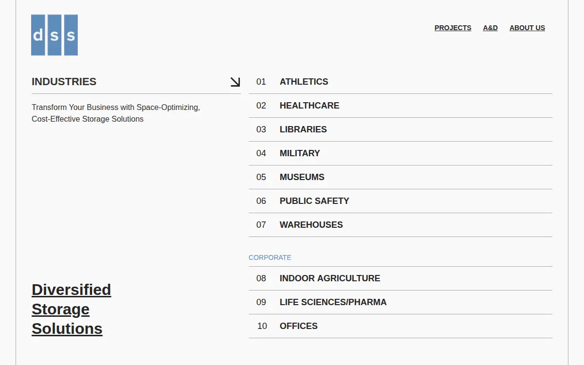 Homepage of Diversified Storage Solutions INC