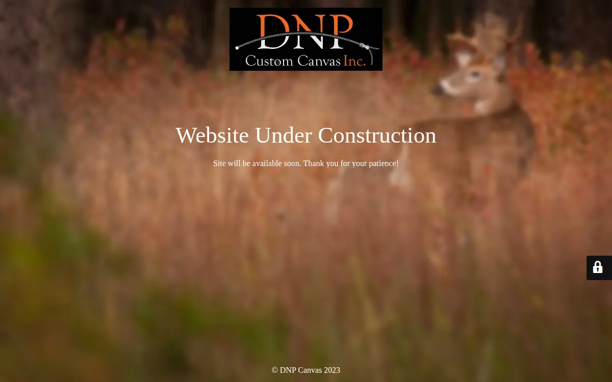 Homepage of Dnp Custom Canvas INC.