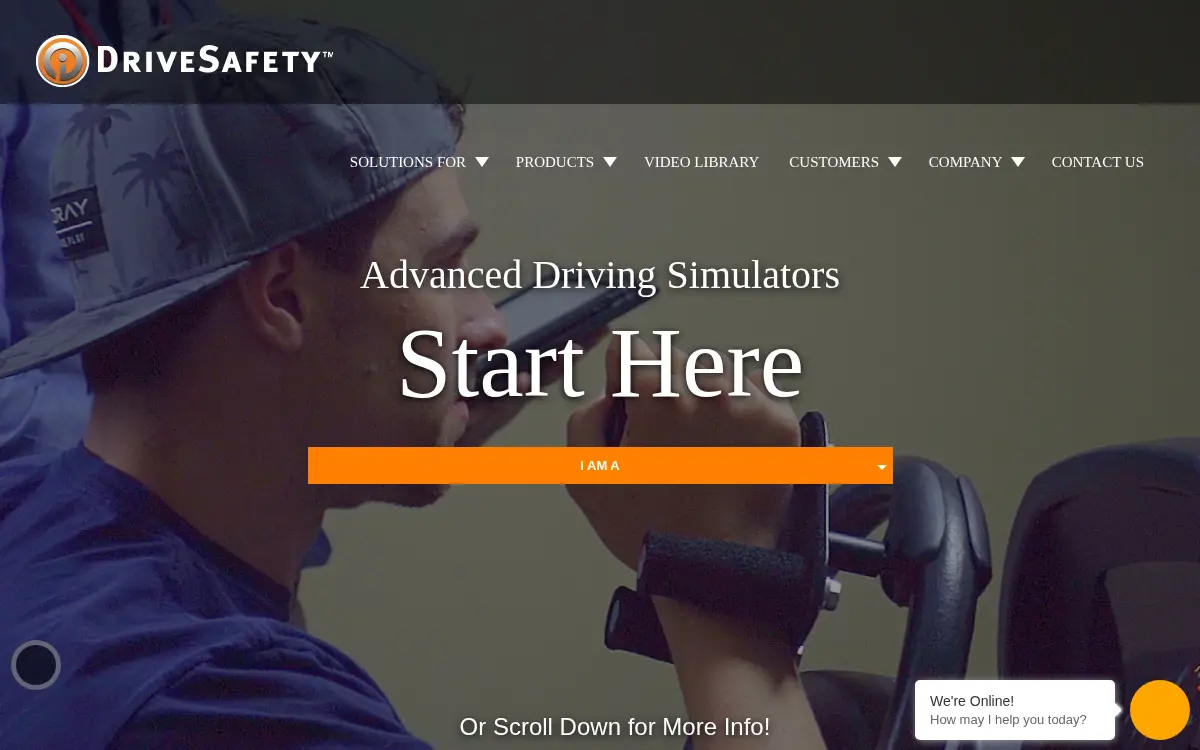 Homepage of Drivesafety, INC