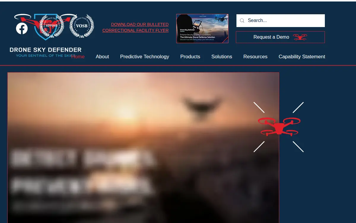 Homepage of Drone Sky Defender, INC