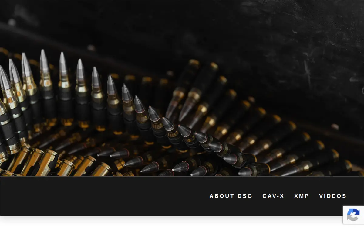 Homepage of Dsg Tec USA INC