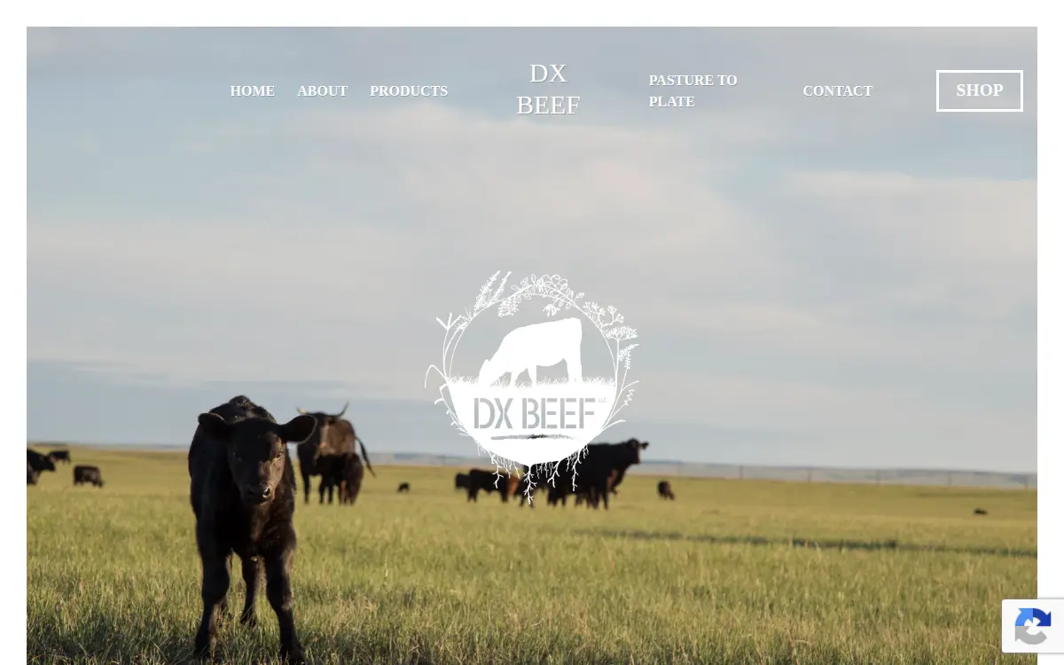 Homepage of Dx Beef LLC