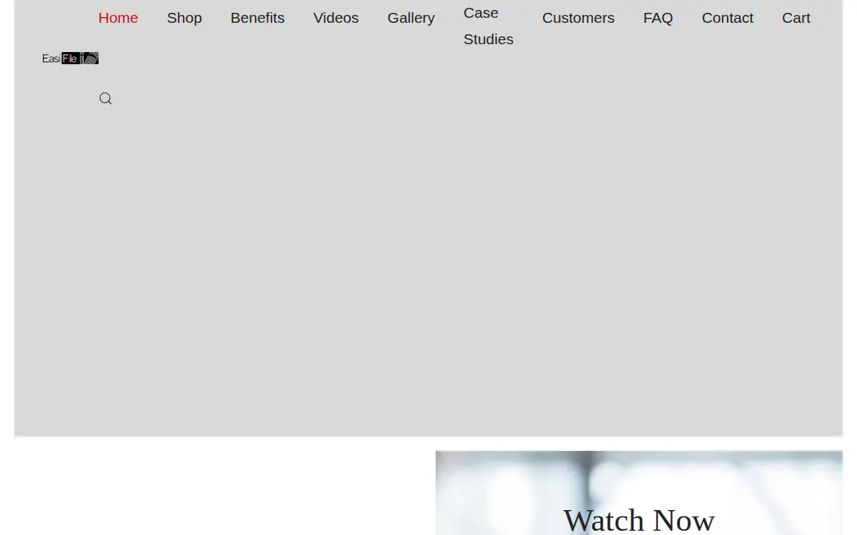 Homepage of Easi File, LLC