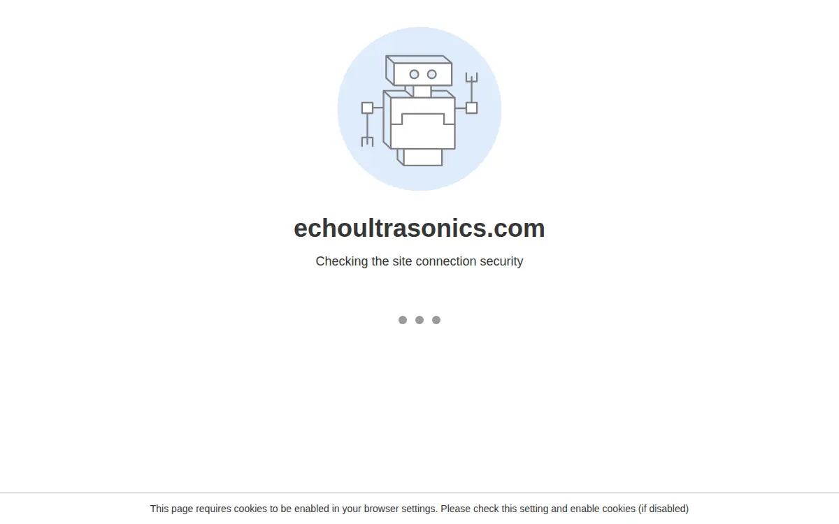 Homepage of Echo Ultrasonics LLC