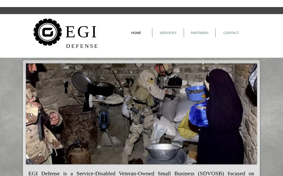 Homepage of Egi LLC