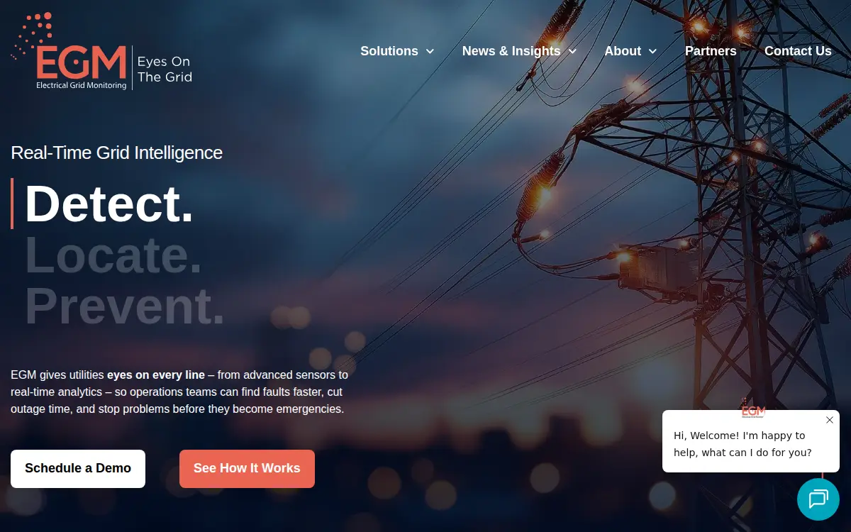 Homepage of Electrical Grid Monitoring USA INC.