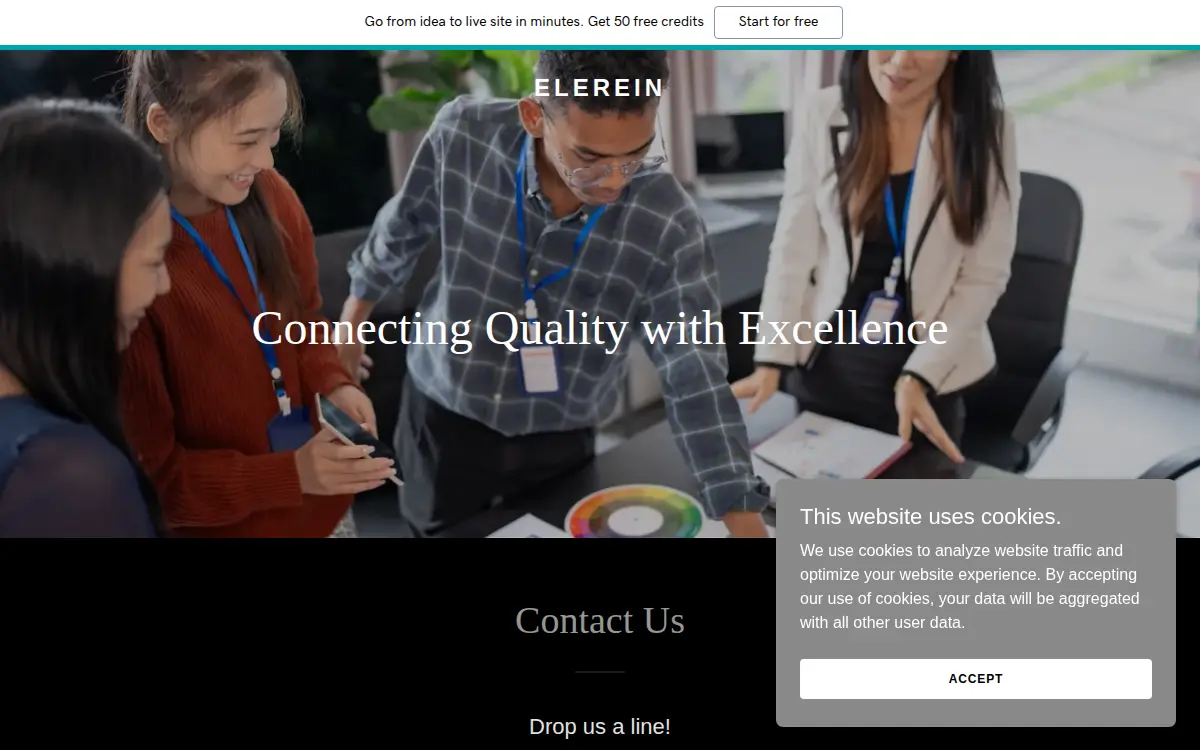 Homepage of Elerein LLC
