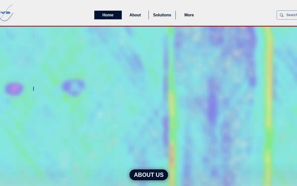 Homepage of Evisive, LLC