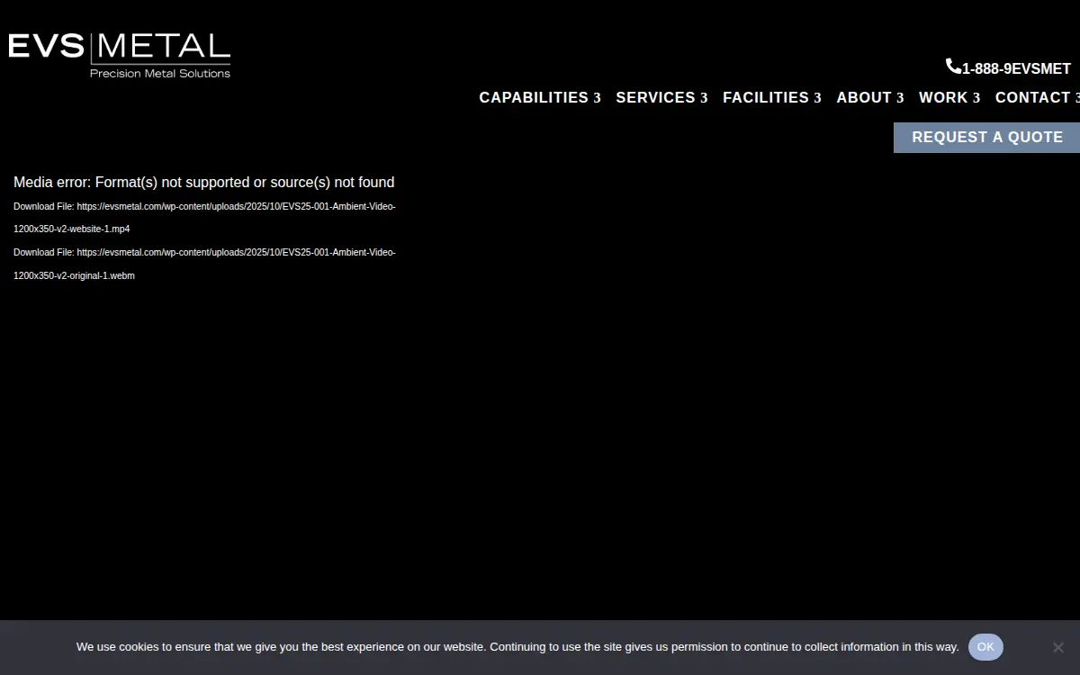 Homepage of Electronic Visions Systems, INC.