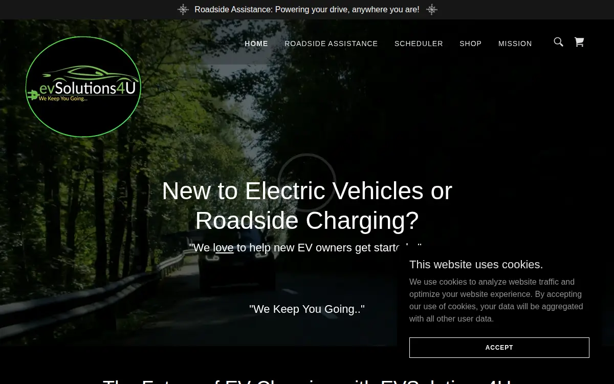 Homepage of Evsolutions4u INC