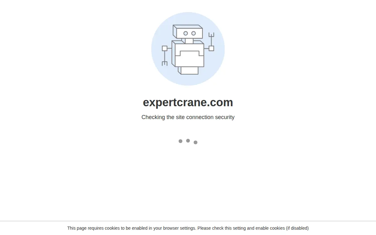 Homepage of Expert Crane, INC.