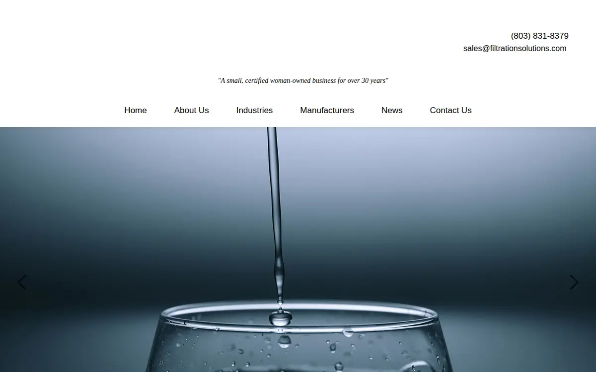 Homepage of Filtration Solutions INC