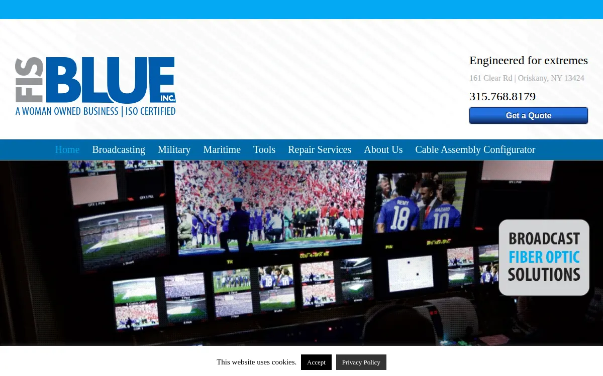 Homepage of Fis Blue, INC.