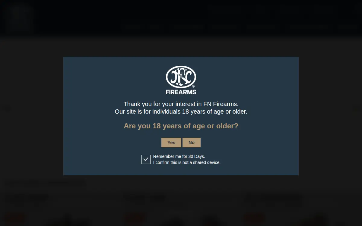 Homepage of Fn America LLC