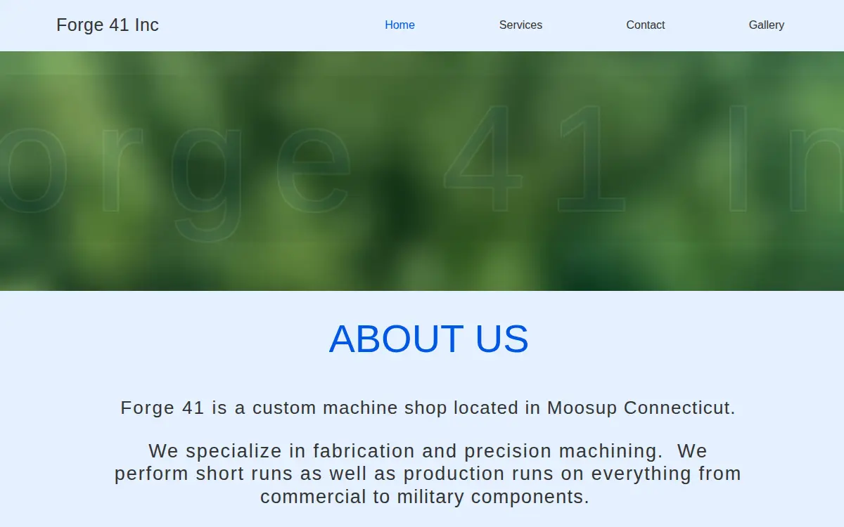 Homepage of Forge 41 INC