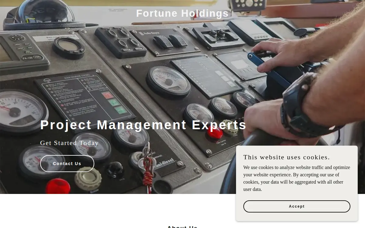 Homepage of Fortune Holdings LLC