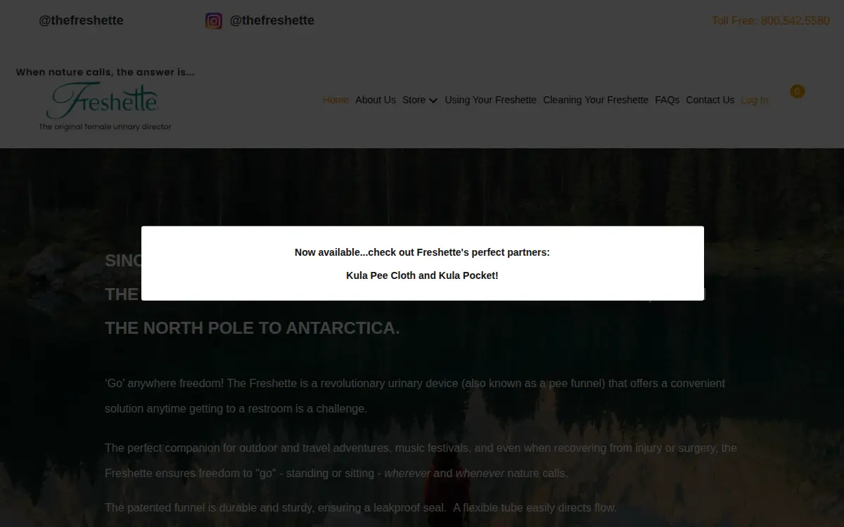 Homepage of International Sani-fem, INC.