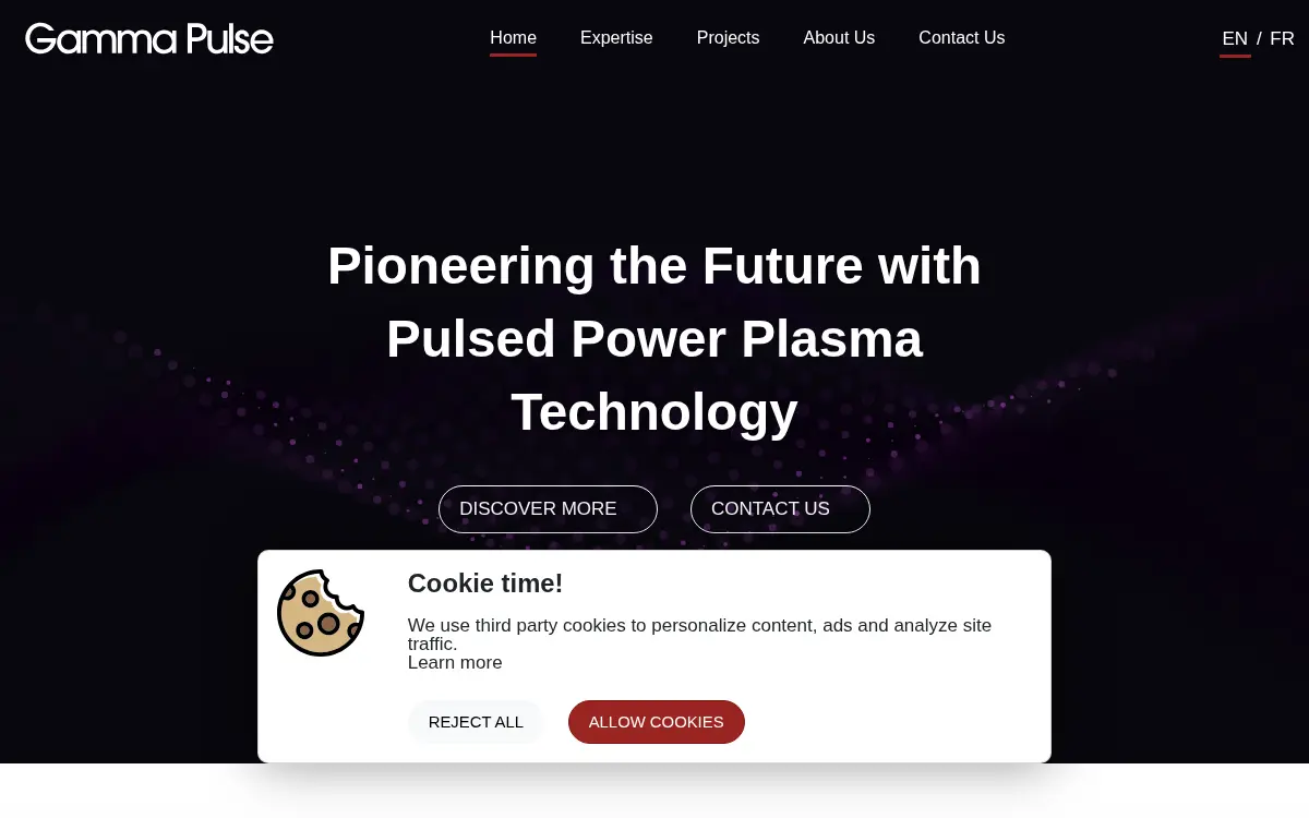 Homepage of Gamma Pulse North America LLC