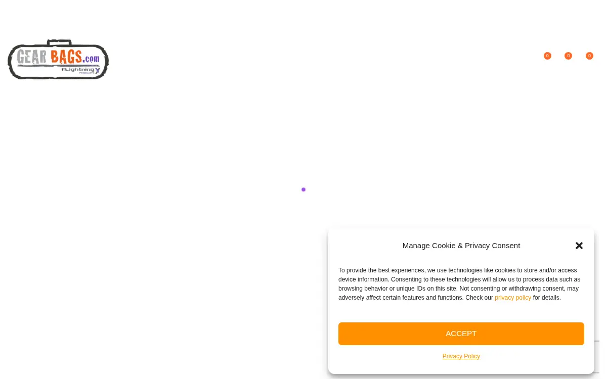 Homepage of Lightning X Products, INC.