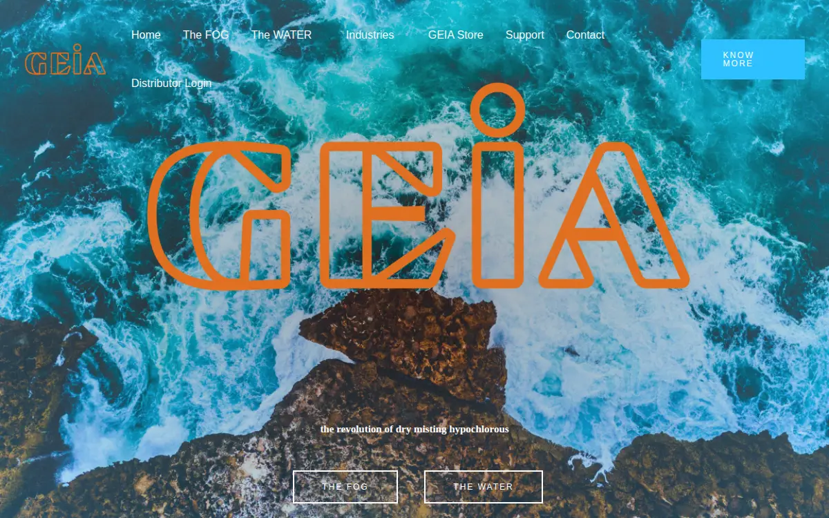 Homepage of Geia Solutions, LLC