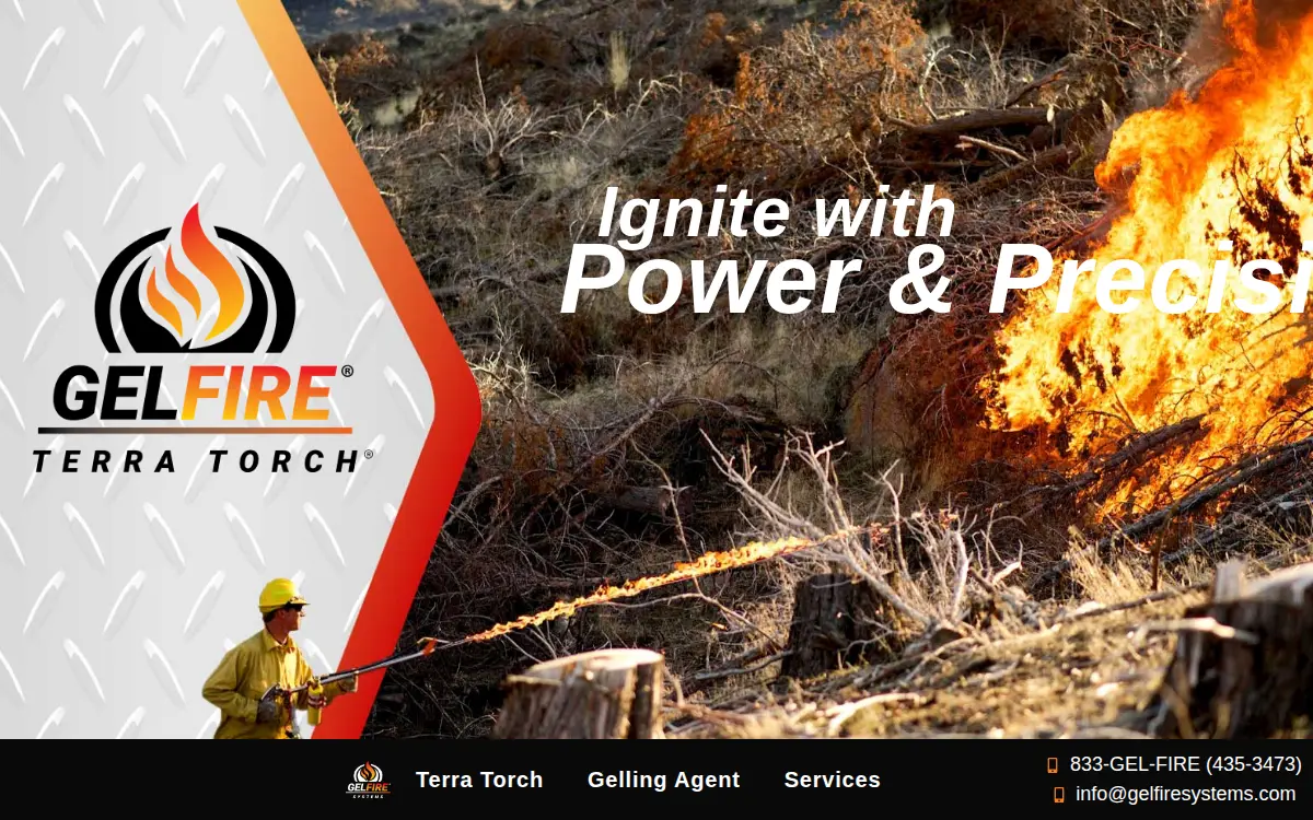 Homepage of Gelfire Systems, LLC