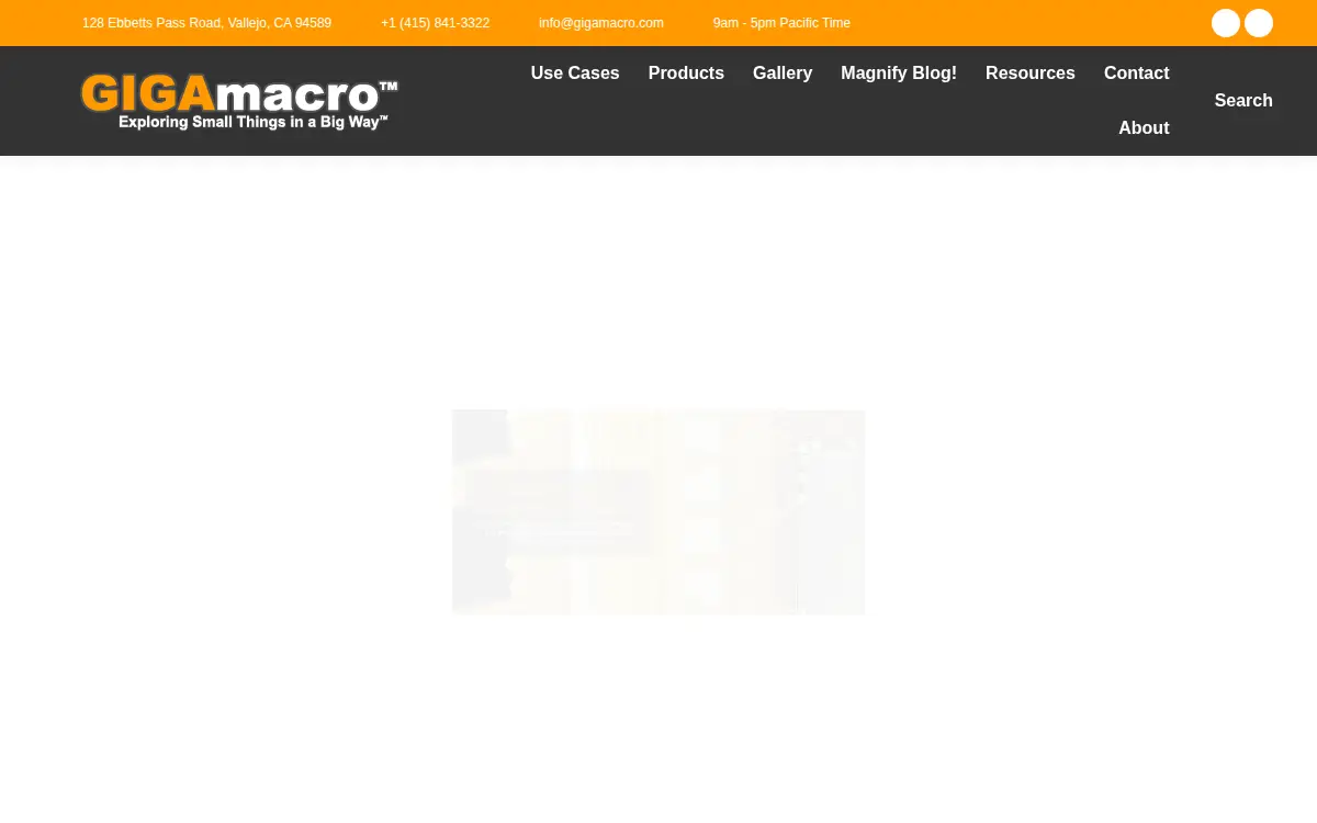 Homepage of Four Chambers Studio LLC